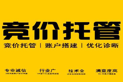 探索百度推广运营的奥秘：提升ROI的技巧